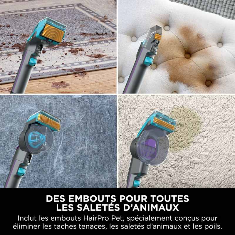 Shark StainStriker HairPro Pet – Shampouineuse Détacheur Tapis & Canapé